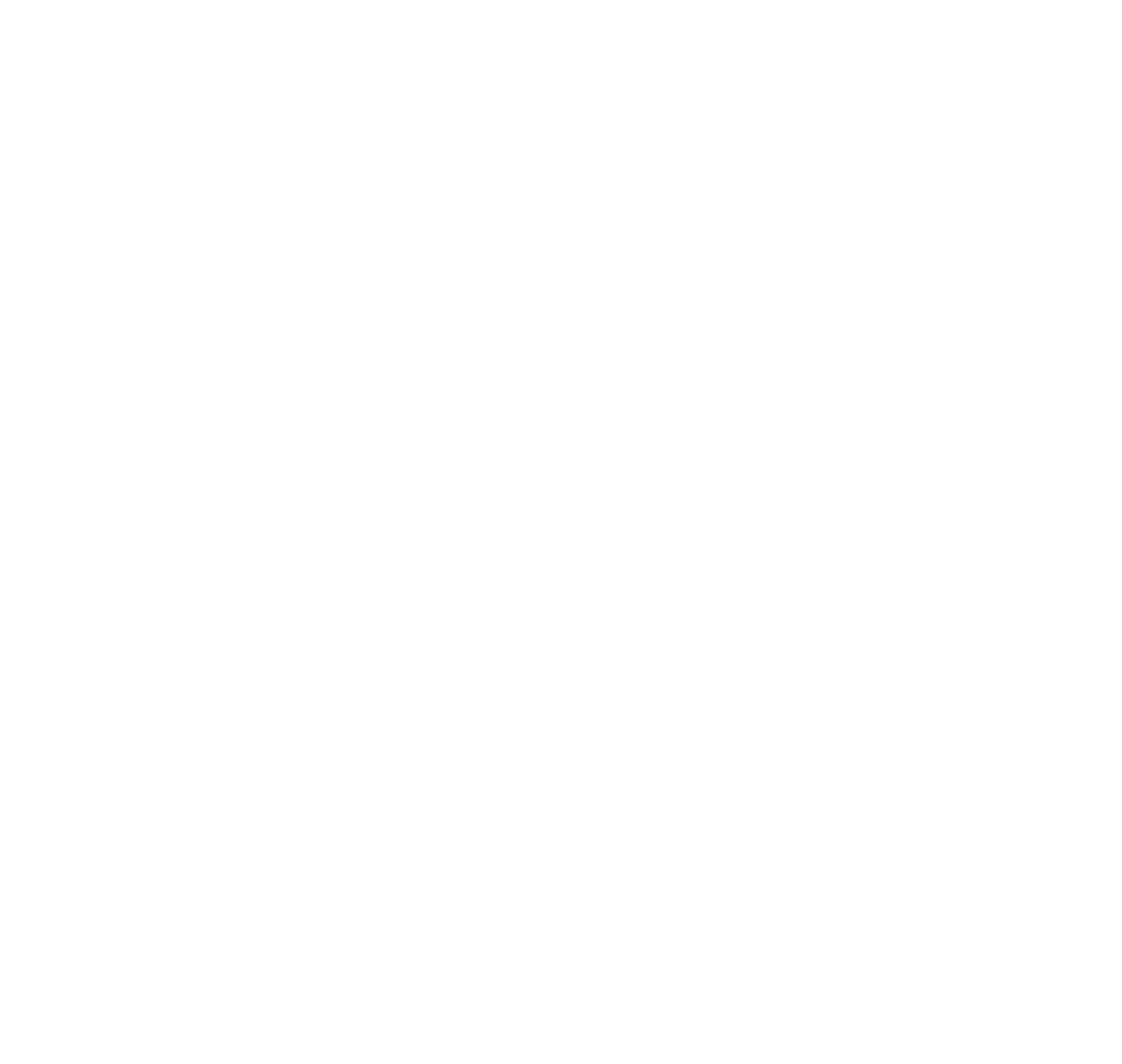 bpm_gestion_globale_logo_blanc